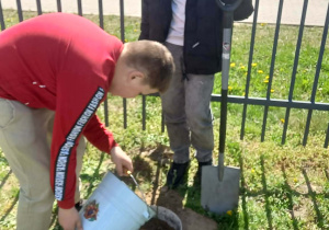 Uczniowie podlewają zasadzone drzewko.