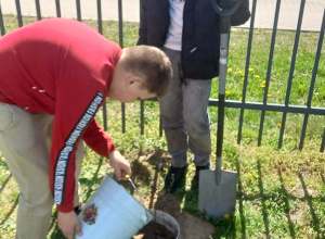 Ogólnopolska Akcja Sadzenia Drzew Miododajnych